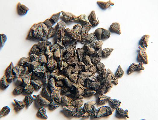 ����������������