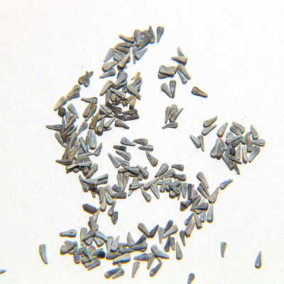 ����������ɫ������