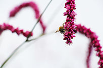 ����ʹ��