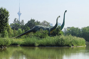 ���ϵĶ������