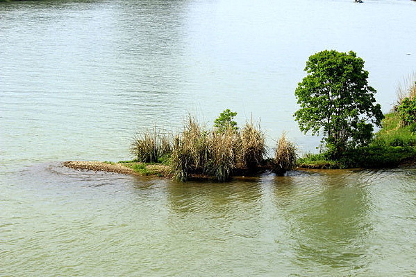 ����С����