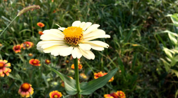 ������վ�