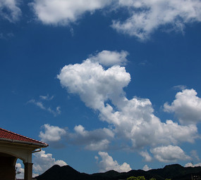 ���������Ӱͼ