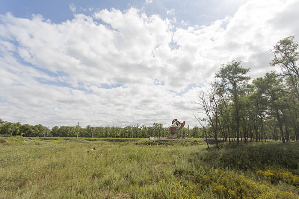 ���������԰���