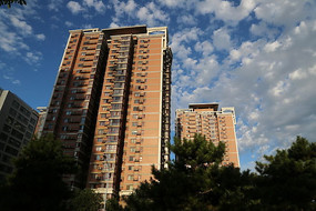 �����µľ���С����¥