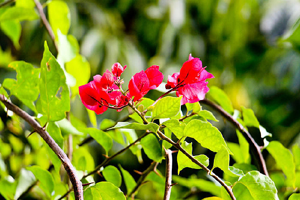 �նž黨����