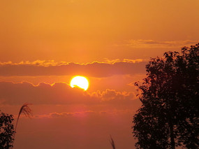 ������Ӱͼ