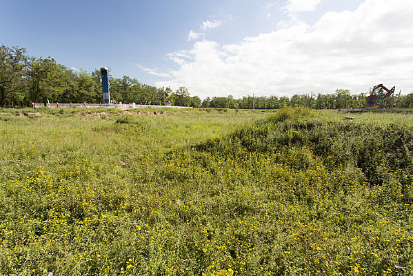 �����������԰