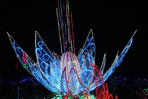 ������������ҹ��