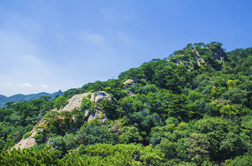 ǧɽ������ɽ�����������