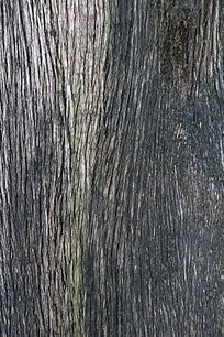 �������ز�