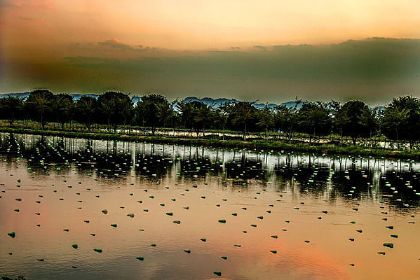 ��������Ļƻ�