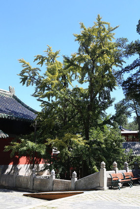 ����µ�����