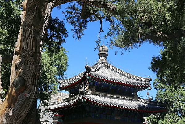 �����˫����¥�͹Ű�