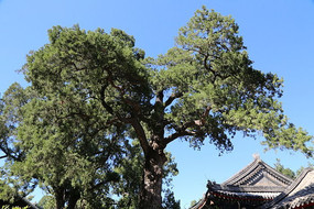 �����µĹ���