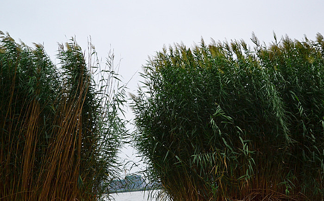 «έ�����е�����ˮ·����