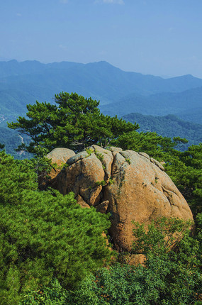 ǧɽ������ɽ����Ⱥɽ��ľ