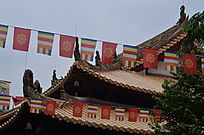 �����ݶ�