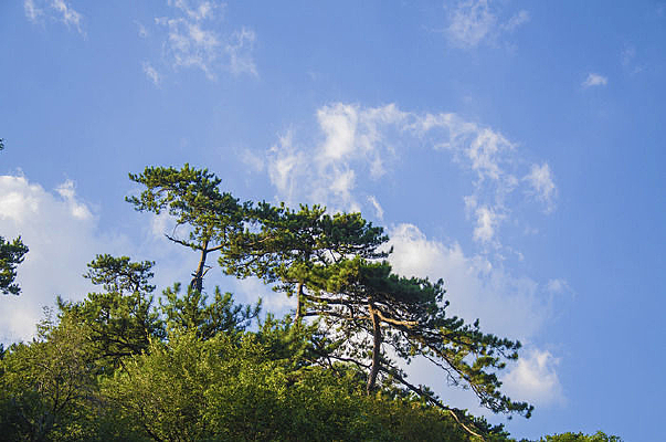 ����������