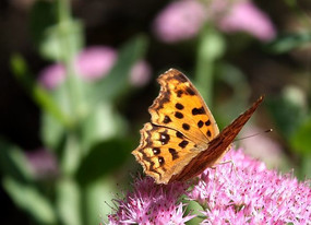 �������裺���