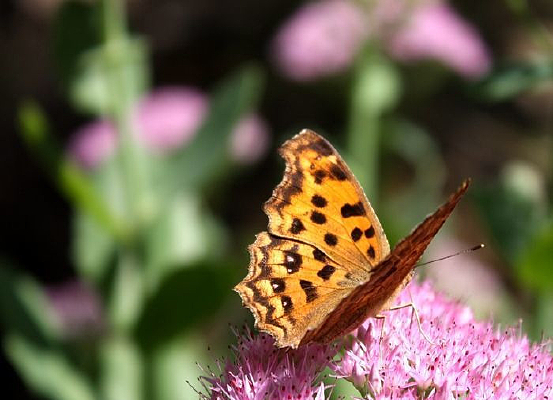 �������裺���