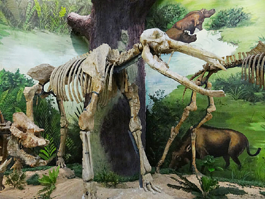 ������ʯ