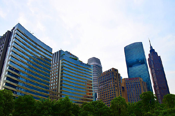 ������ɫ����Ⱥ