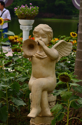 �����ȵ�С��ʯ��