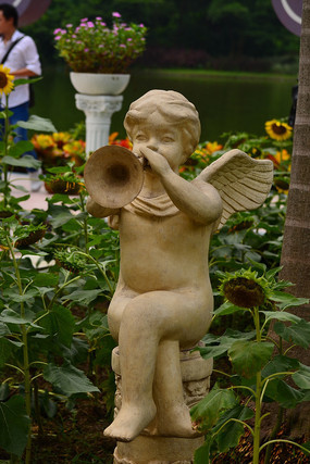 �����ȵ�С��ʯ��