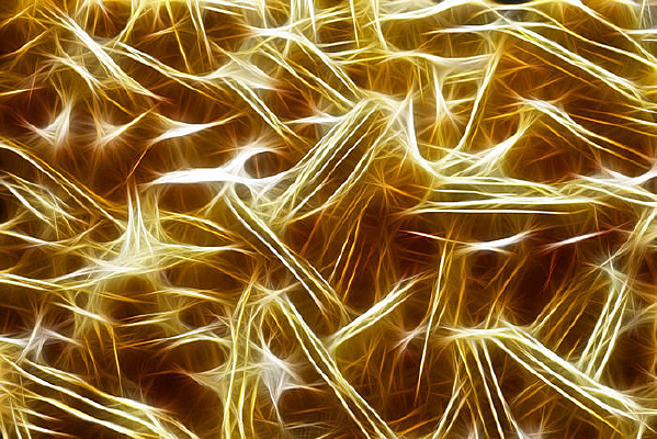 ���Ի���������