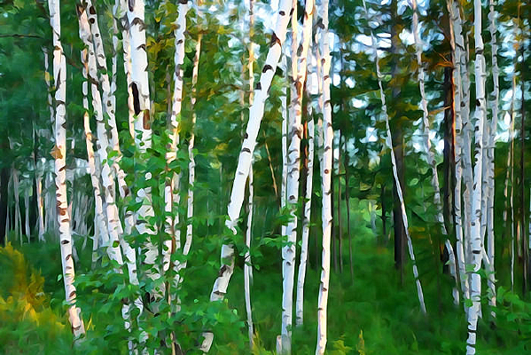 ����ˮ�ʻ������ַ��ͼ��