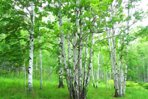 ����ˮ�ʻ�������ӡ��