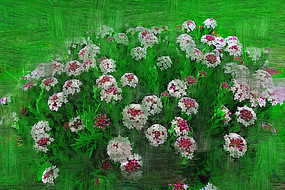 �����ͻ���ɽ��������