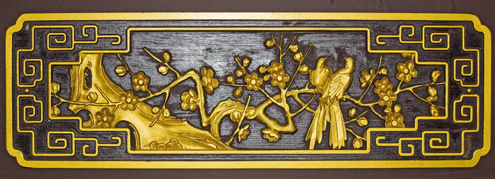 �����ľ��