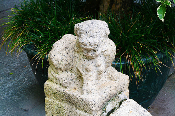 ����ʨ�ӵ��