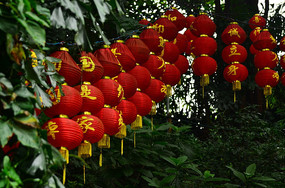 �������ϵĺ����