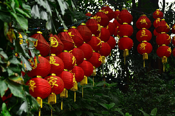 ���ϵĺ����