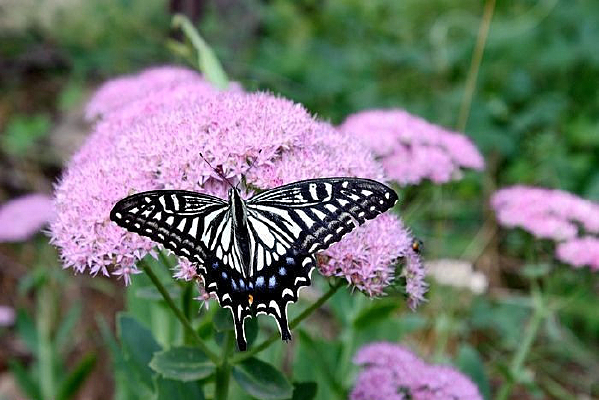 ���з���ڷ���