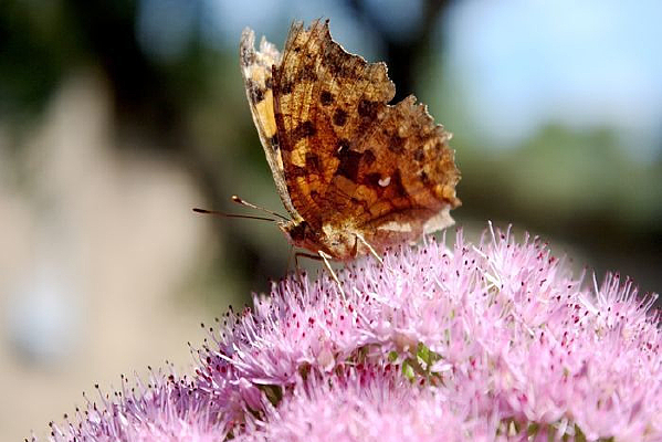 ����������Ϣ