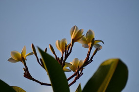 �������羰ͼƬ