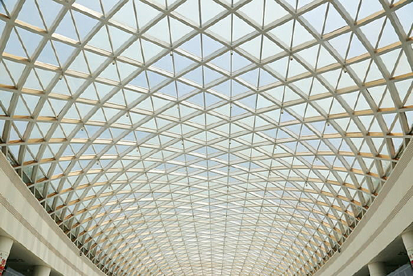 ��������״񷶥����