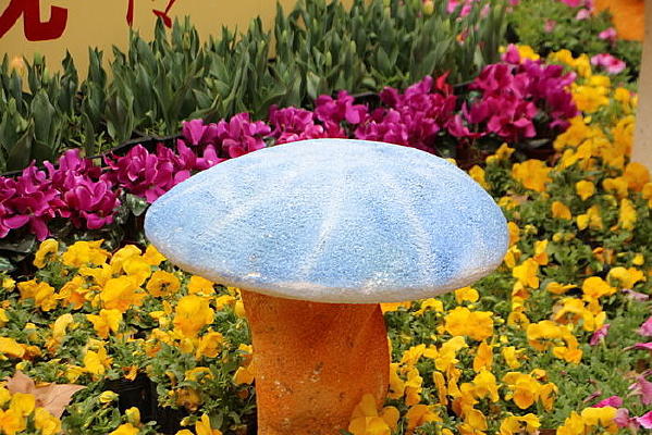 Ģ���µĻ���