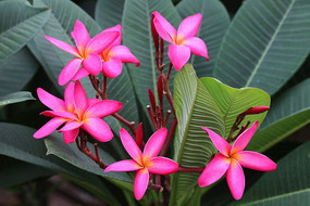 Ư����ľ�޻�