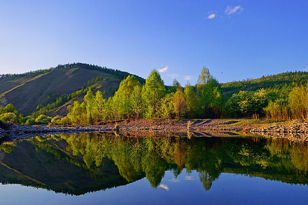 ���ֺ������