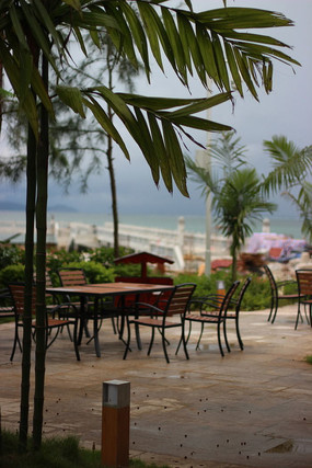 ɳ̲��������