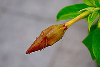 ˮ���ʻ�ͼƬ