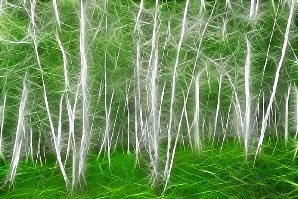 ���Ի����������ϡ�