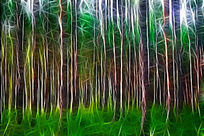 ���Ի������֡�