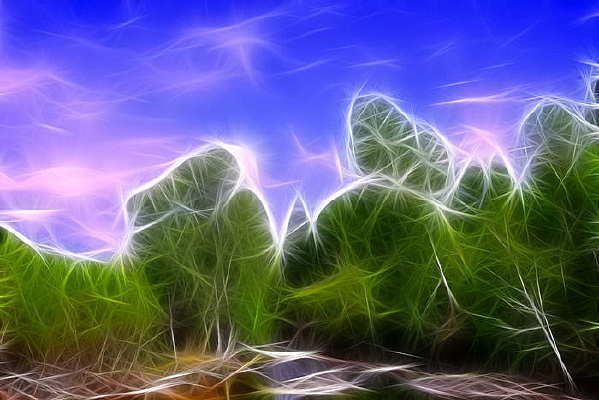 ���Ի���С�������֡�