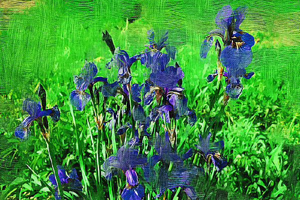 �����ͻ�����������